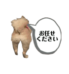 Yamamoto imoko 2（個別スタンプ：21）