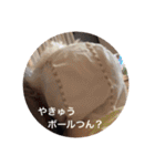 ぽんのの5（個別スタンプ：15）