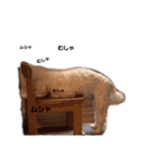 ぽんのの5（個別スタンプ：16）
