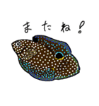 海に棲む生き物2（個別スタンプ：8）