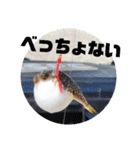 BSFC（個別スタンプ：1）