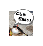 BSFC（個別スタンプ：2）