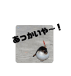 BSFC（個別スタンプ：3）