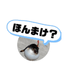 BSFC（個別スタンプ：5）