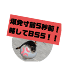 BSFC（個別スタンプ：6）