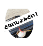BSFC（個別スタンプ：8）