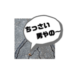 BSFC（個別スタンプ：11）