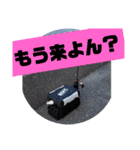 BSFC（個別スタンプ：17）