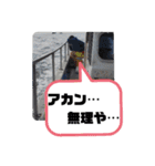 BSFC（個別スタンプ：18）