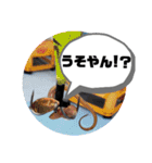 BSFC（個別スタンプ：19）