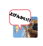 BSFC（個別スタンプ：24）