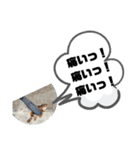 BSFC（個別スタンプ：29）