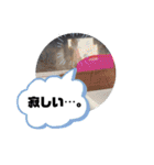 BSFC（個別スタンプ：32）