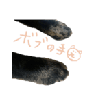ぼしゃん（個別スタンプ：2）