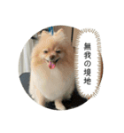 愛息子と愛犬の日常3（個別スタンプ：8）