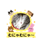 わんぱく猫ちゃんカリーノ（個別スタンプ：23）