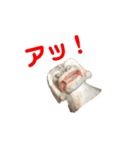 越前狛犬 2（個別スタンプ：6）