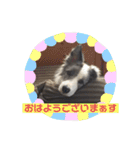 ベスティだよ（個別スタンプ：2）