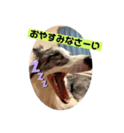 ベスティだよ（個別スタンプ：4）