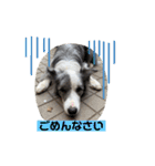 ベスティだよ（個別スタンプ：8）