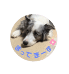 ベスティだよ（個別スタンプ：13）