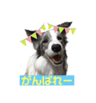 ベスティだよ（個別スタンプ：20）