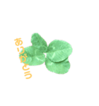Flower 花（個別スタンプ：1）