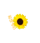 Flower 花（個別スタンプ：2）