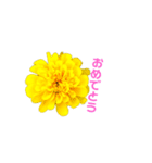 Flower 花（個別スタンプ：4）