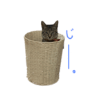 むちょとレオ②（個別スタンプ：2）