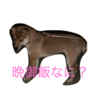 みみ助次郎のスタンプ（個別スタンプ：2）