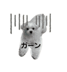 まっしろ犬（個別スタンプ：12）