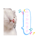 はなちゃん猫ちゃん（個別スタンプ：2）