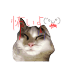 はなちゃん猫ちゃん（個別スタンプ：14）