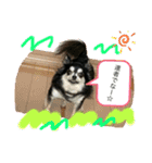 ミー様のスタンプ❤️（個別スタンプ：2）