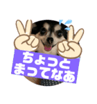 ミー様のスタンプ❤️（個別スタンプ：8）