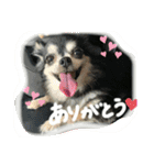 ミー様のスタンプ❤️（個別スタンプ：18）