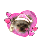 可愛い❤️ワンちゃんの画像（個別スタンプ：1）