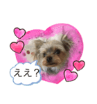 可愛い❤️ワンちゃんの画像（個別スタンプ：4）