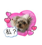 可愛い❤️ワンちゃんの画像（個別スタンプ：5）