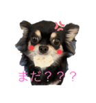 ここちともかち（個別スタンプ：2）