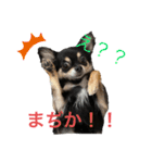 ここちともかち（個別スタンプ：3）