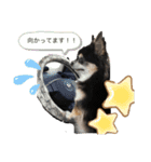 ここちともかち（個別スタンプ：4）