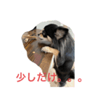 ここちともかち（個別スタンプ：9）