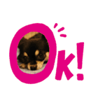 ここちともかち（個別スタンプ：11）