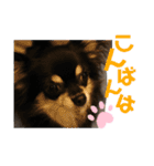 ここちともかち（個別スタンプ：19）
