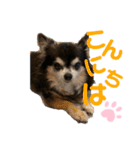 ここちともかち（個別スタンプ：21）