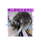 レオとコスモスPart3（個別スタンプ：1）