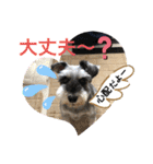 レオとコスモスPart3（個別スタンプ：3）