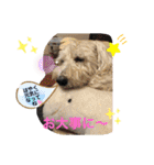 レオとコスモスPart3（個別スタンプ：8）